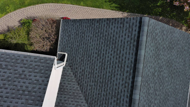 Best Flat Roofing  in Lovelock, NV