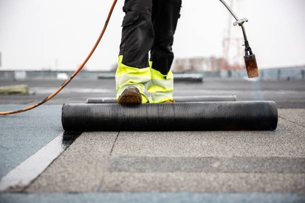 Best Green or Eco-Friendly Roofing Solutions  in Lovelock, NV