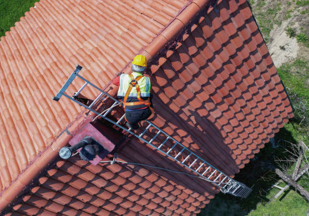Best Emergency Roof Repair Services  in Lovelock, NV