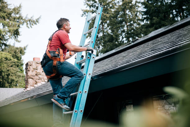 Best Roof Moss and Algae Removal  in Lovelock, NV