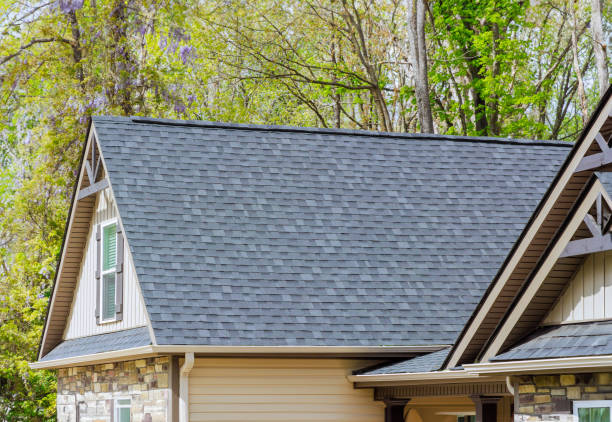Best Storm Damage Roof Repair  in Lovelock, NV